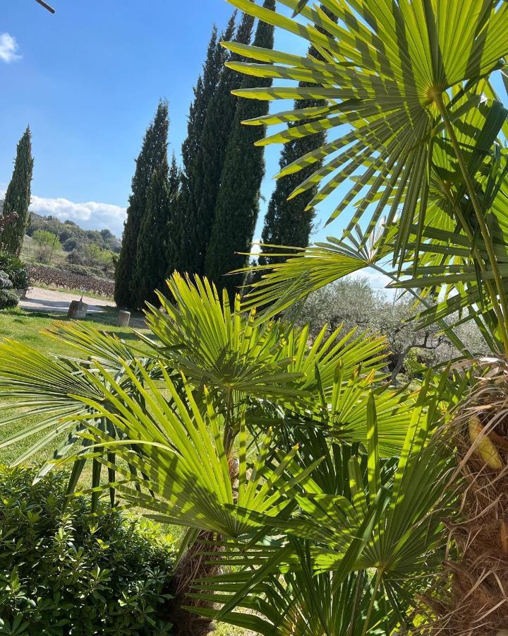 Domaine La Condamine Crillon Le Brave Hotel Buitenkant foto
